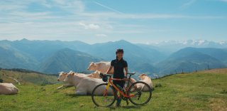 Cyclists posing with cows in Pyrenees