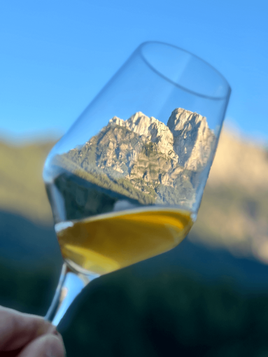 View through a wine glass to Julian Alps in Slovenia