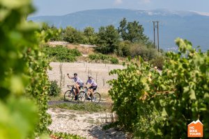Lovely couple cycling through Provence