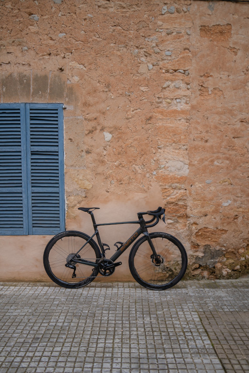 Sarto Raso TC - Green - Image 7